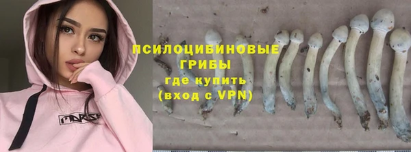 мдма Дмитриев