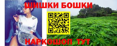 СК Пушкино
