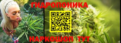 СК Пушкино