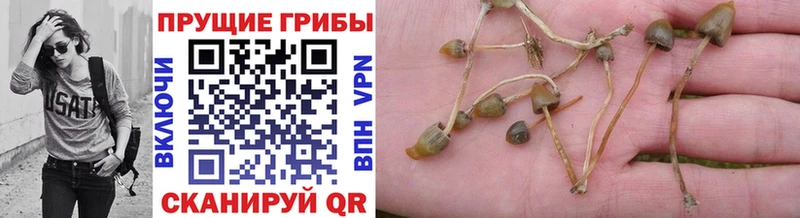 МЕГА рабочий сайт  Балтийск  Галлюциногенные грибы прущие грибы  купить наркоту 