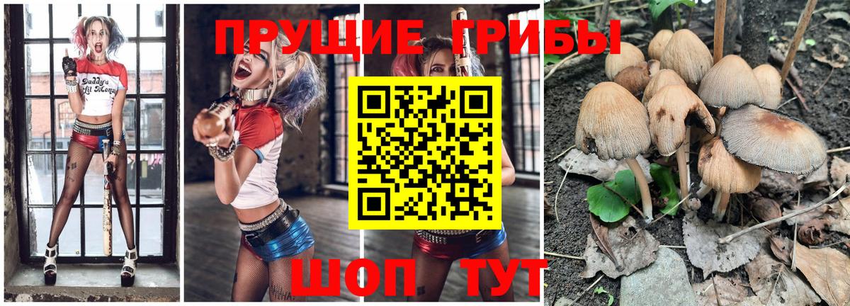 Галлюциногенные грибы MAGIC MUSHROOMS  Вход с VPN  где продают   Балтийск 