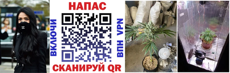 что такое наркотик  Балтийск  МАРИХУАНА THC 21% 